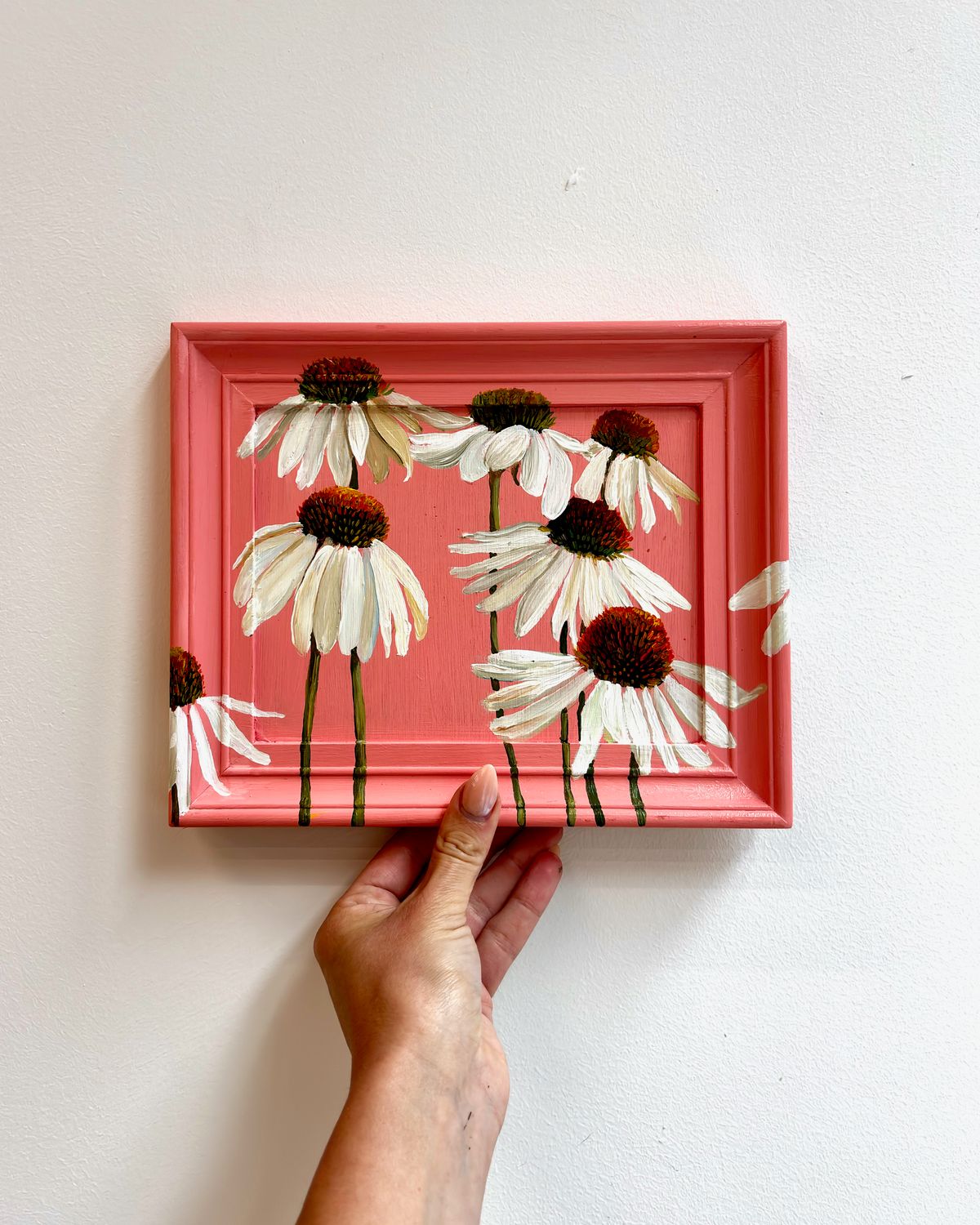 Echinacea Dream