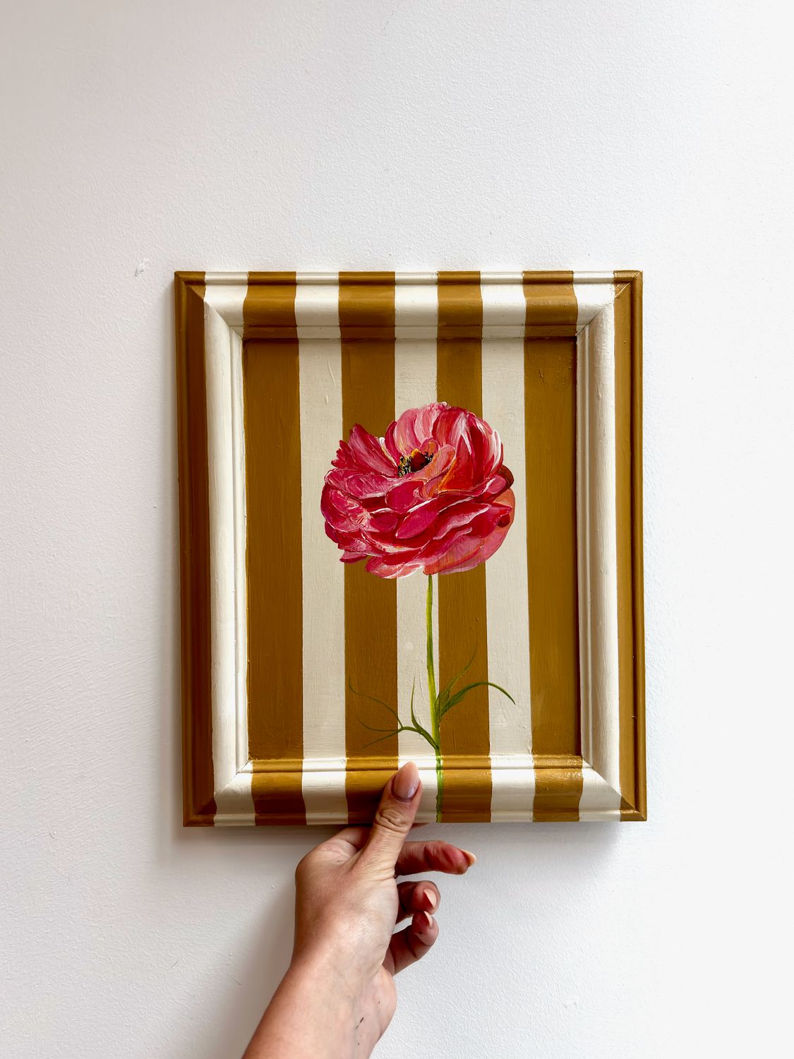 Pink Ranunculus