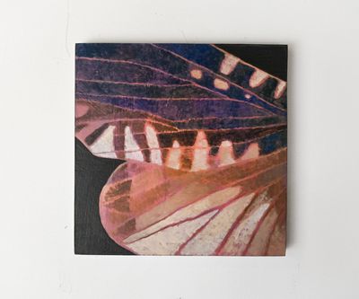 Moth Wing I Moth Wing I