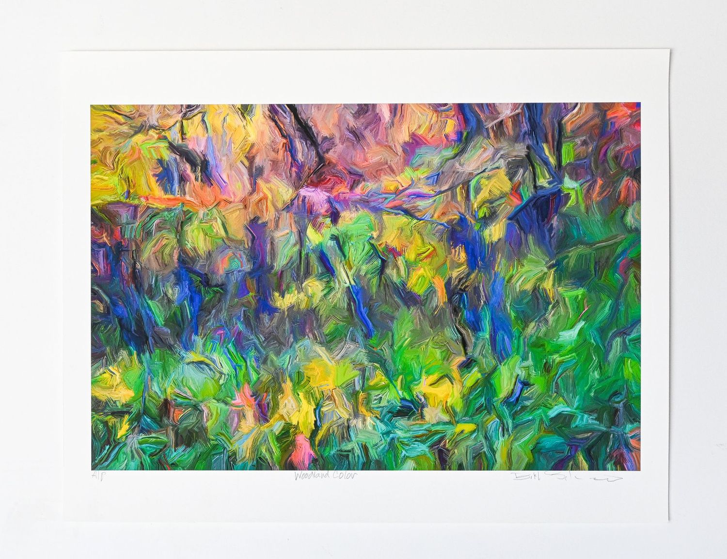 Woodland Color