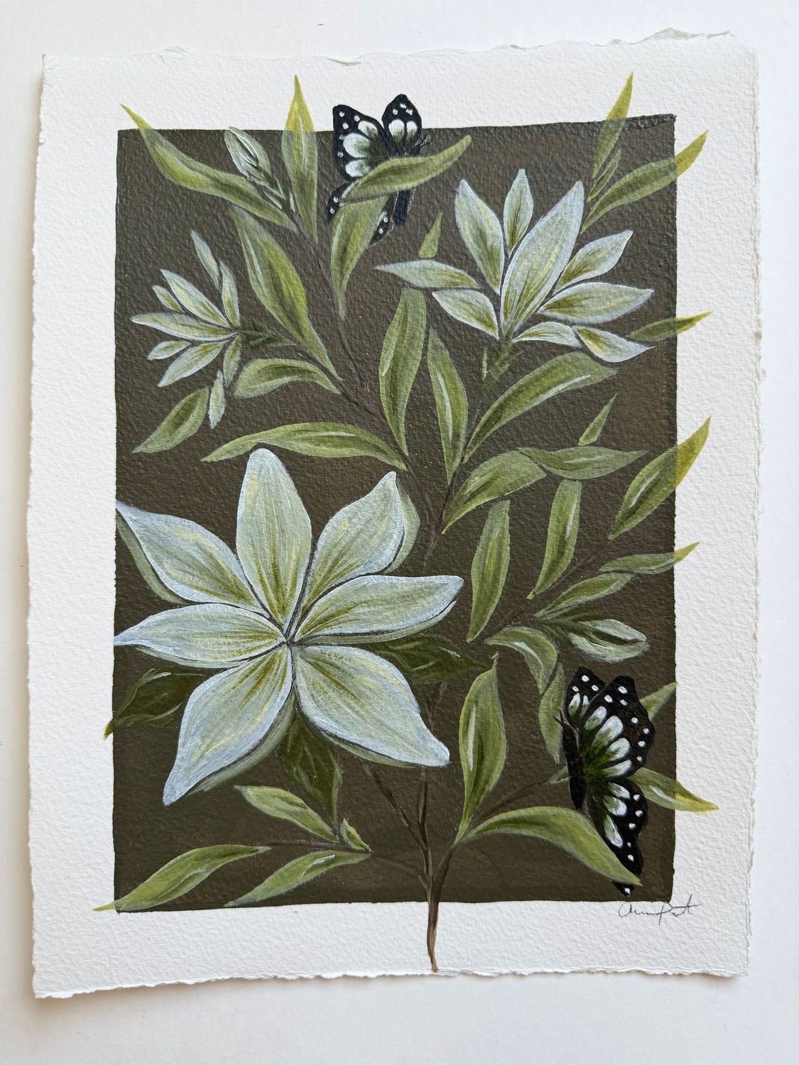 Champ De Fleurs, Chocolat Champ De Fleurs, Chocolat