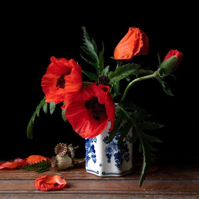 Vanitas with Poppies in Delft Vanitas with Poppies in Delft
