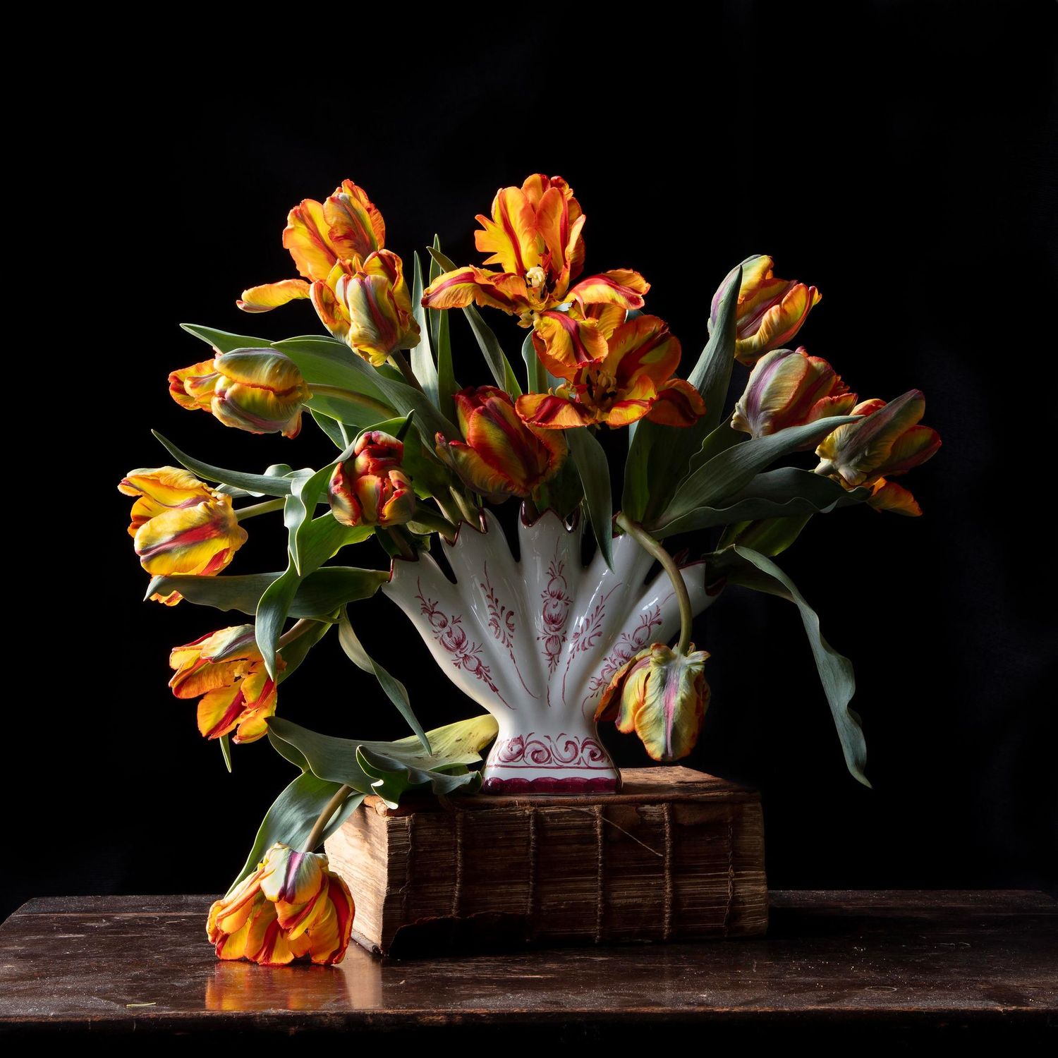 Vanitas with Parrot King Tulips 7687
