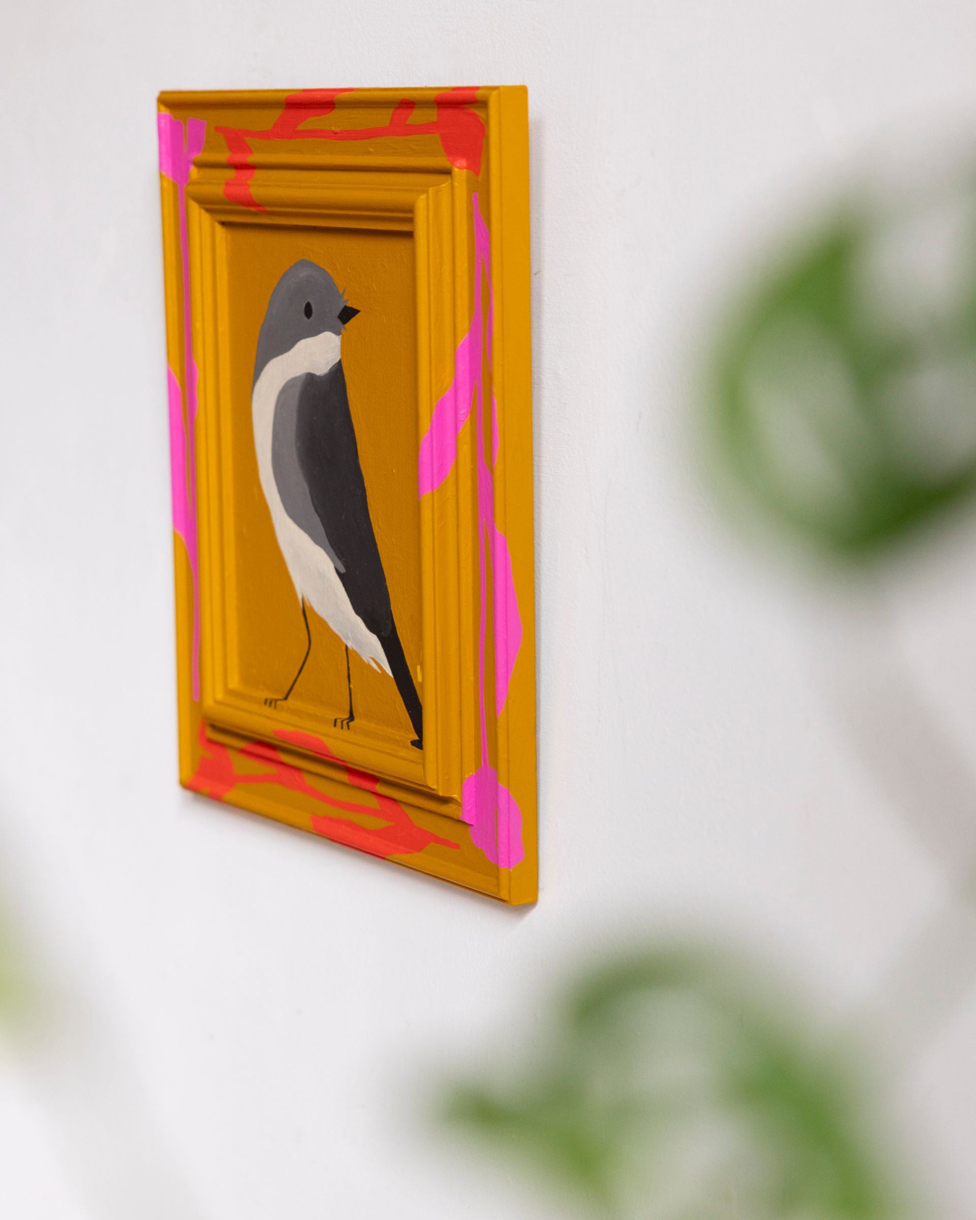Eastern Phoebe