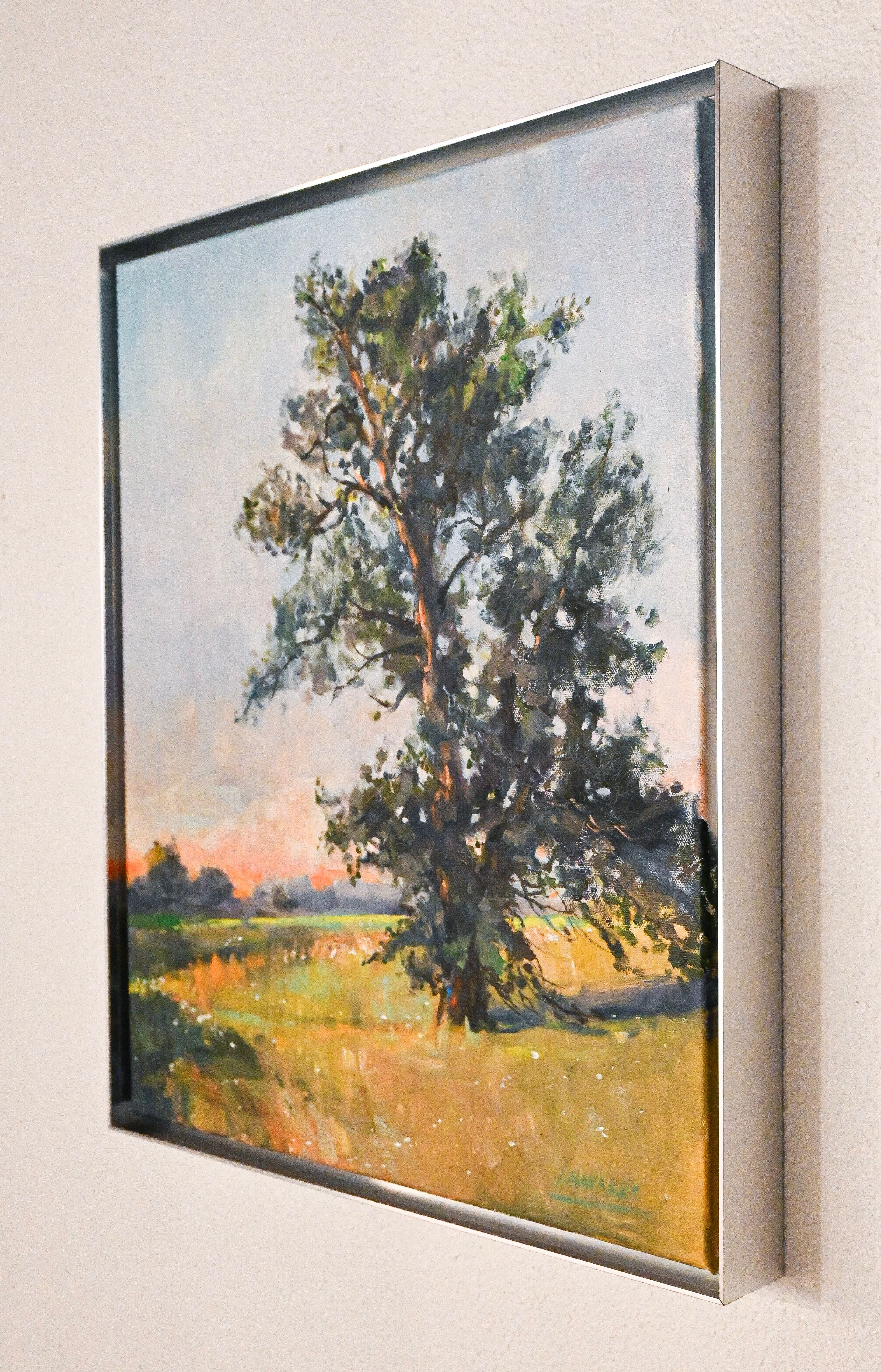 Tree Shadows