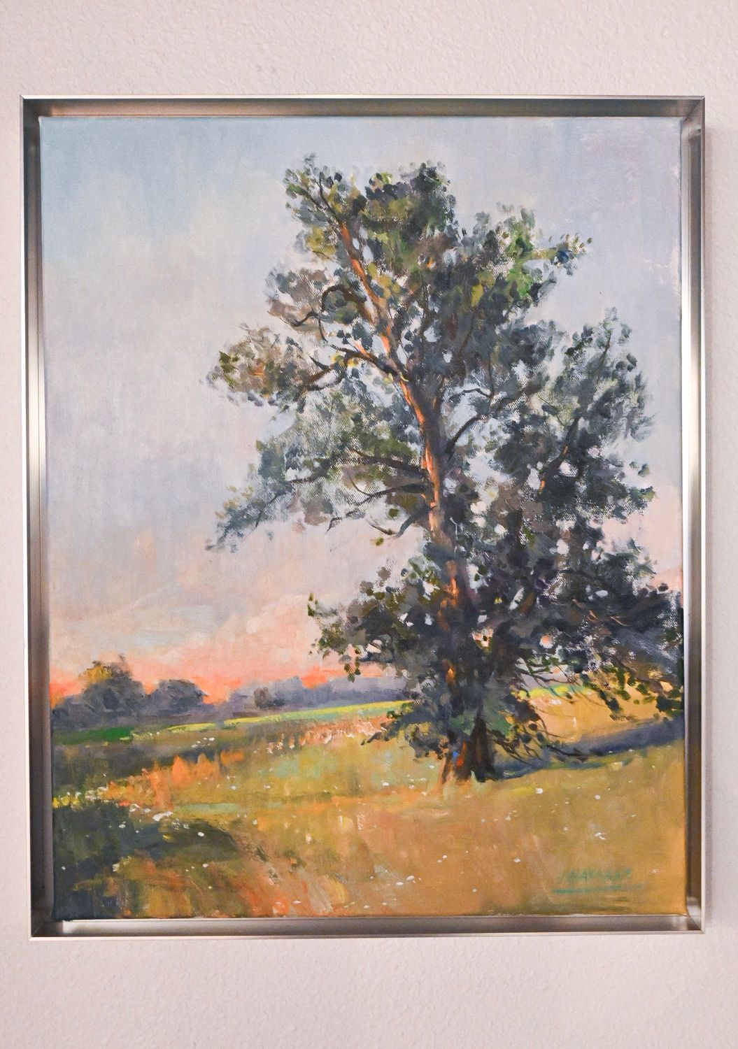 Tree Shadows