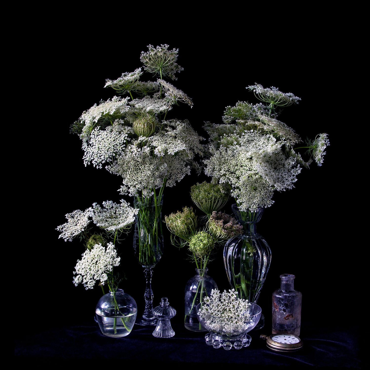 Vanitas with Queen Annes Lace 9932 Vanitas with Queen Annes Lace 9932