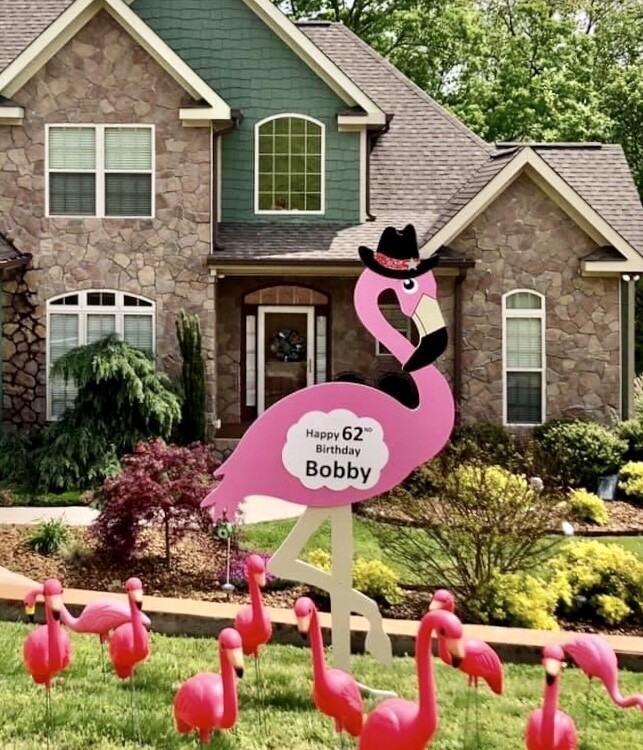 Flamingo With Flock Rental