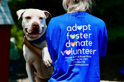 Blue Adopt, Foster, Donate, Volunteer
