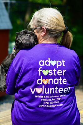 Purple Adopt, Foster, Donate, Volunteer