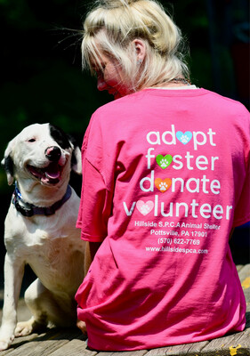 Pink Adopt, Foster, Donate, Volunteer