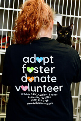 Black Adopt, Foster, Donate, Volunteer