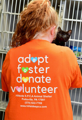 Orange Adopt, Foster, Donate, Volunteer
