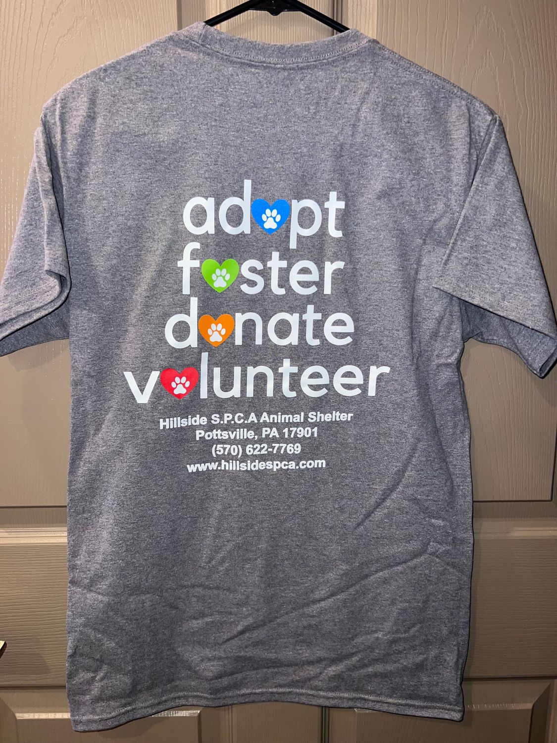 Gray Adopt, Foster, Donate, Volunteer