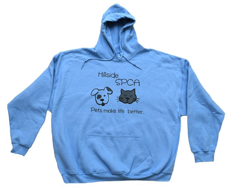 Light Blue Long-sleeve Pullover Hoodie