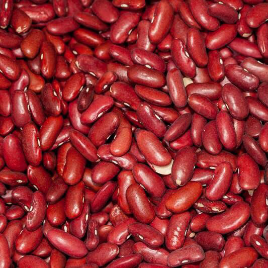 PATTU RED KIDNEY BEANS DARK 5 KG (RAJMA)