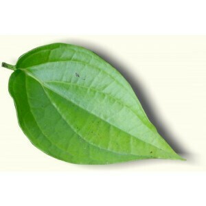 BETEL LEAVES PACK (8-10 leaves)
