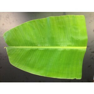 FRESH BANANA LEAF PACK (5 leaves)