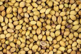 PATTU CORIANDER SEEDS 1 KG