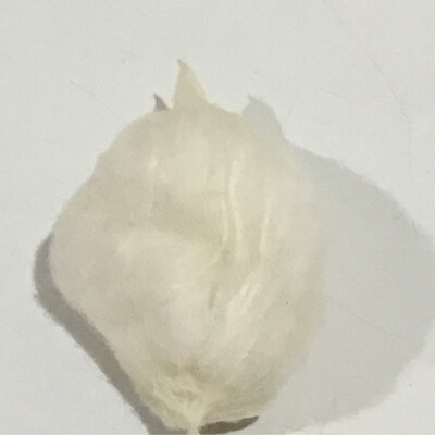 365 WICKS  Hand Made