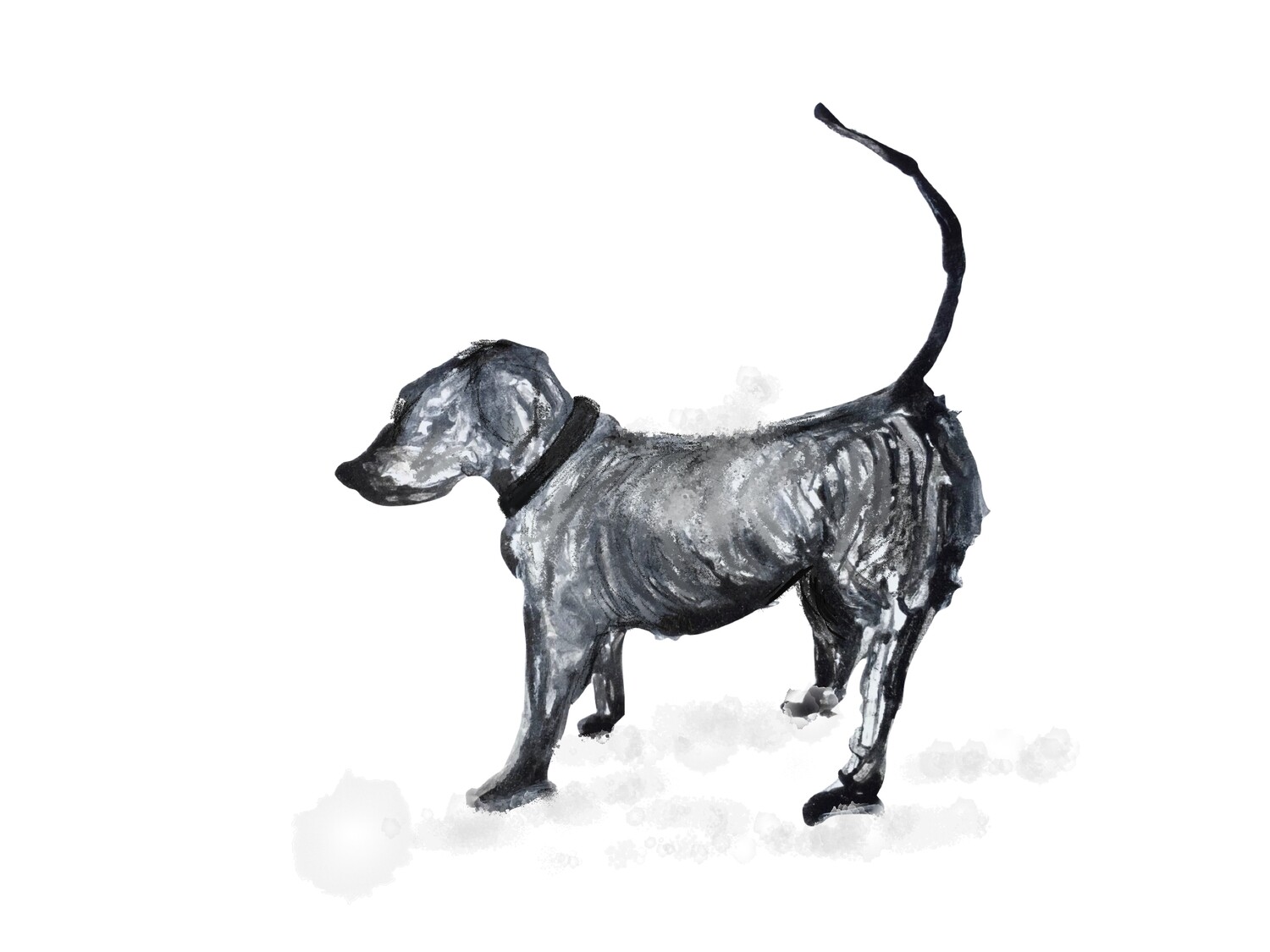 My little dog Wigs - Archive PRINT