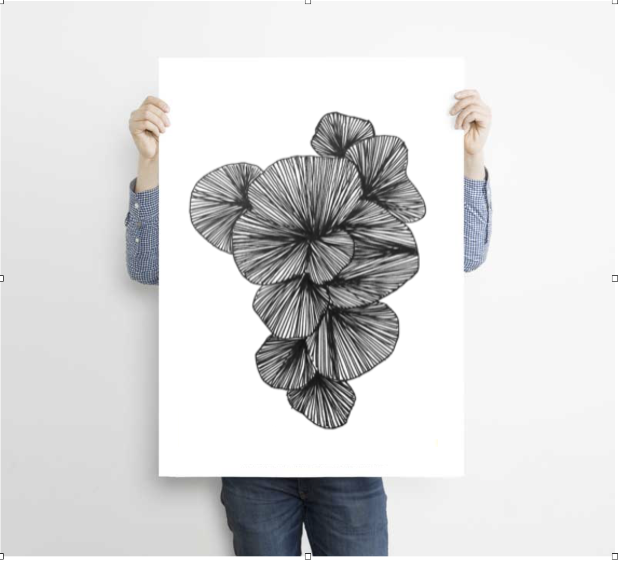 Sea Flange  print