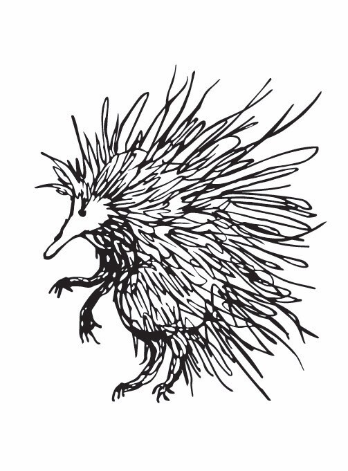 Spike Australian Echidna - archive PRINT
