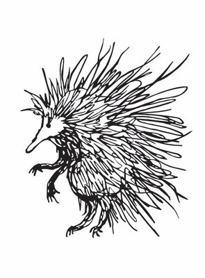 Spike Australian Echidna - paper cutting