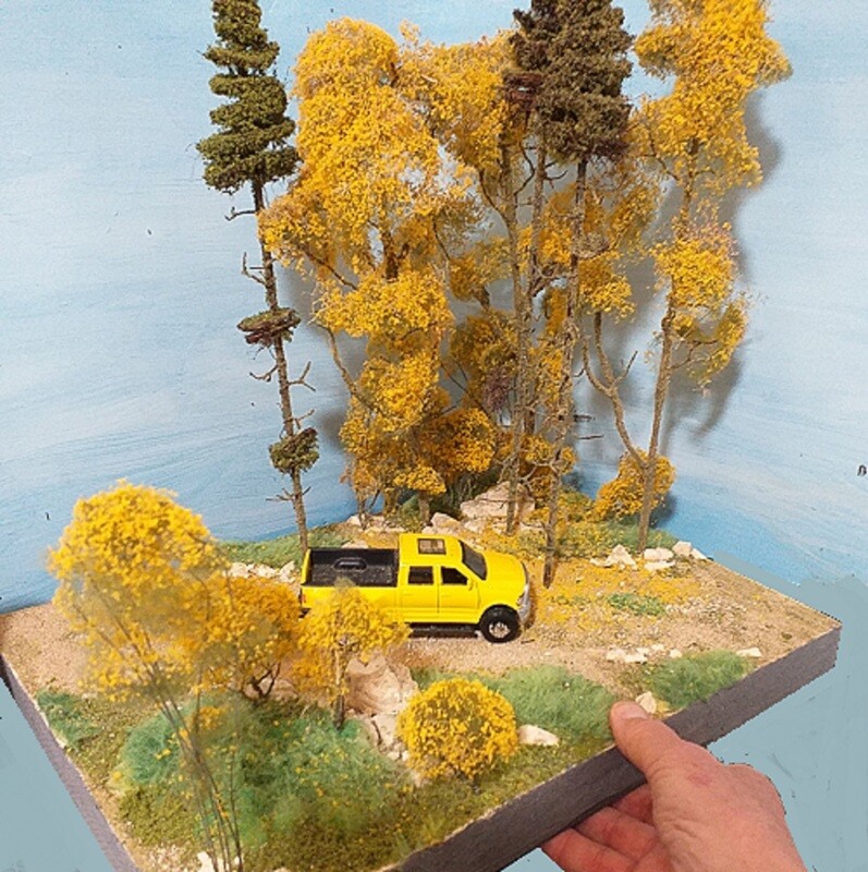 mixed autumn forest