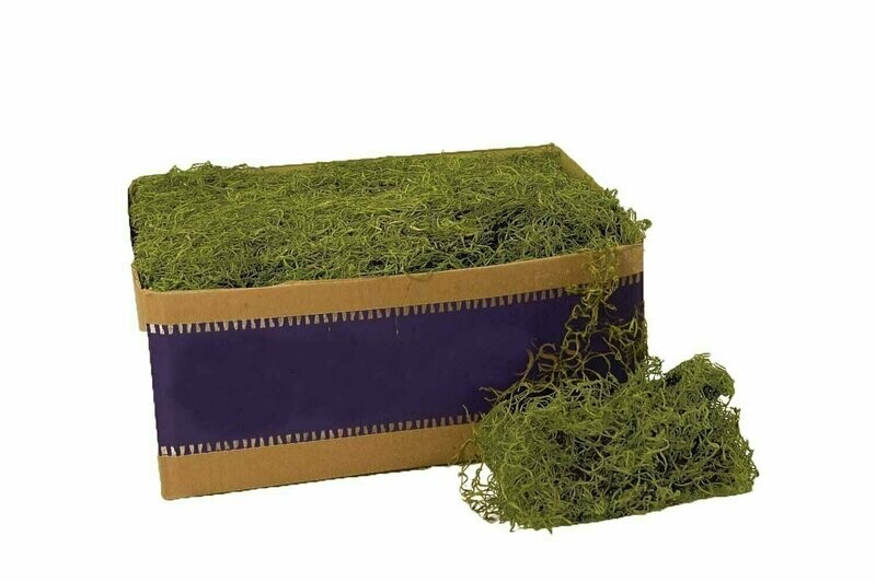 26927 - 3lb Bulk Preserved Green Spanish Moss