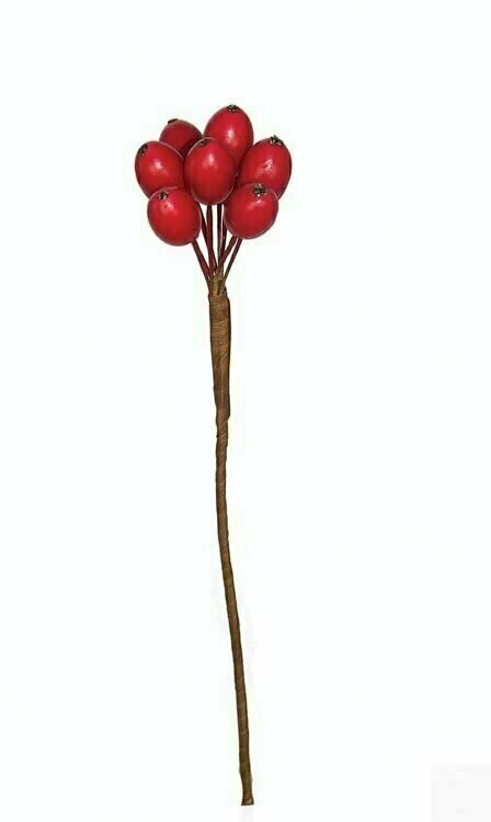 PLX4001RD - Red Rose Hip Berry Cluster On 8