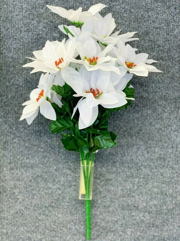 SBX04101WHT - White Poinsettia Bush x14