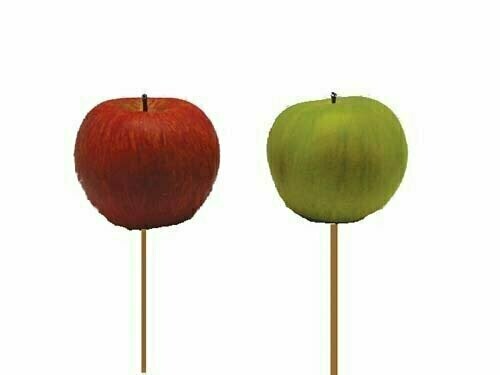 PPX2014 - 2 Assorted Color Natural Sized Apple Pick