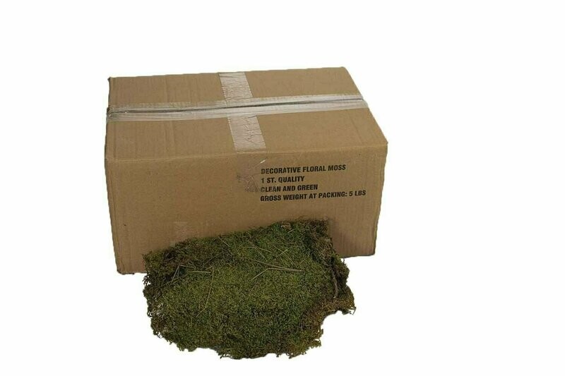 9500 - 5 lb Bulk Perserved Fresh Green Sheet Moss
