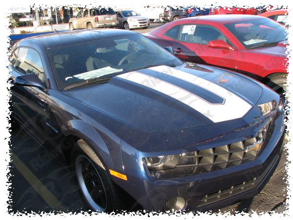 2010 - 2015 Camaro SEMA Synergy Style Rally Stripes