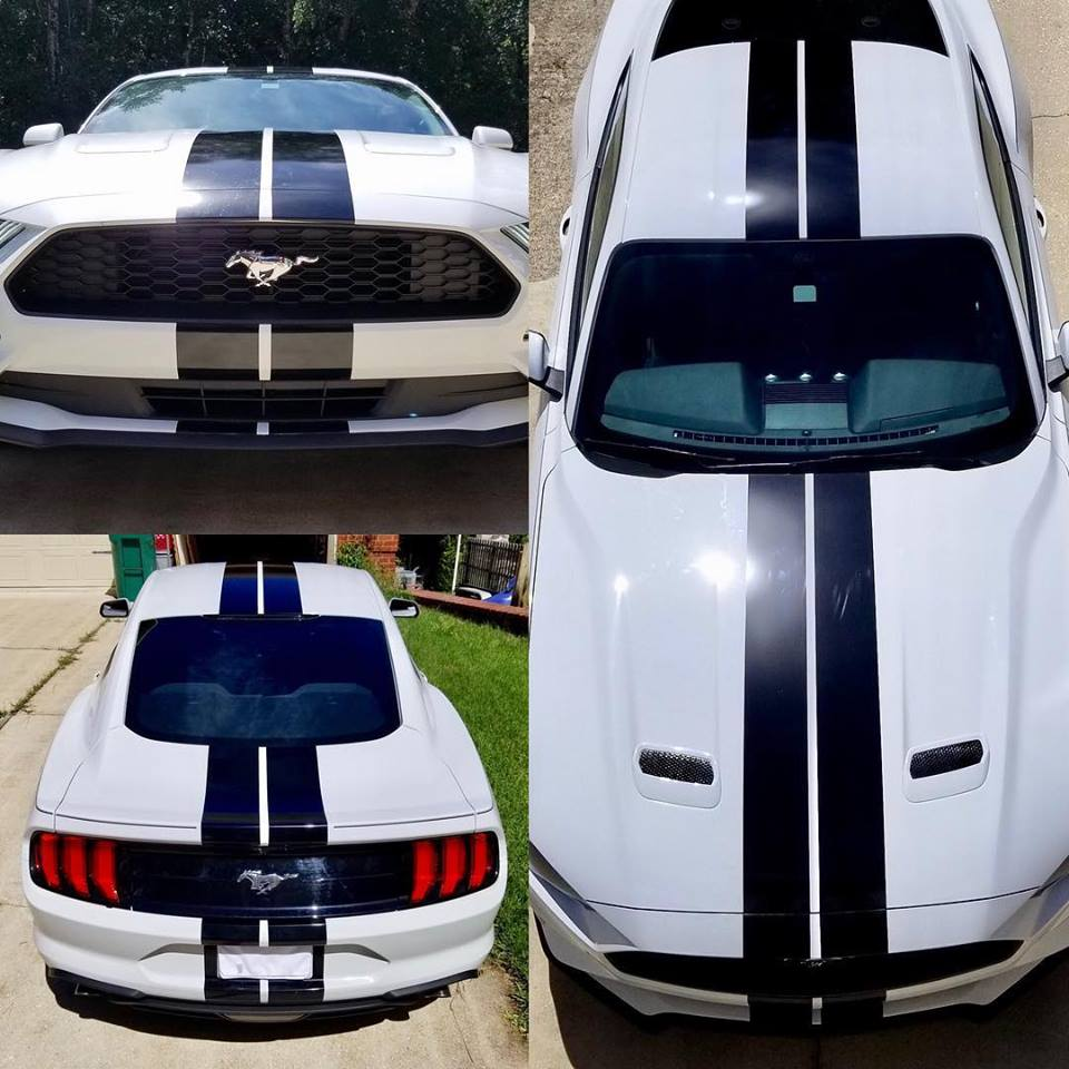 2005 - 2023 Mustang Shelby Style Rally Stripes