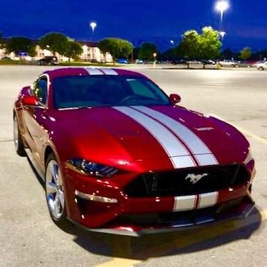 2005 - Up Mustang Shelby Style Rally Stripes
