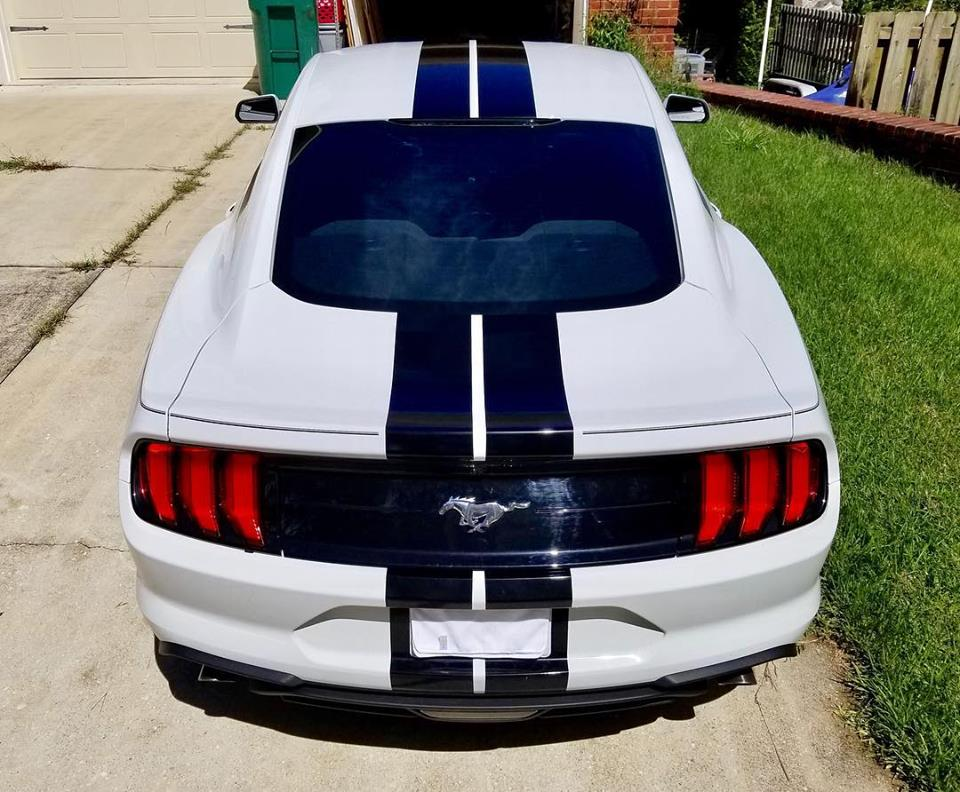 2005 - 2023 Mustang Shelby Style Rally Stripes