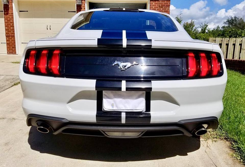 2005 - 2023 Mustang Shelby Style Rally Stripes