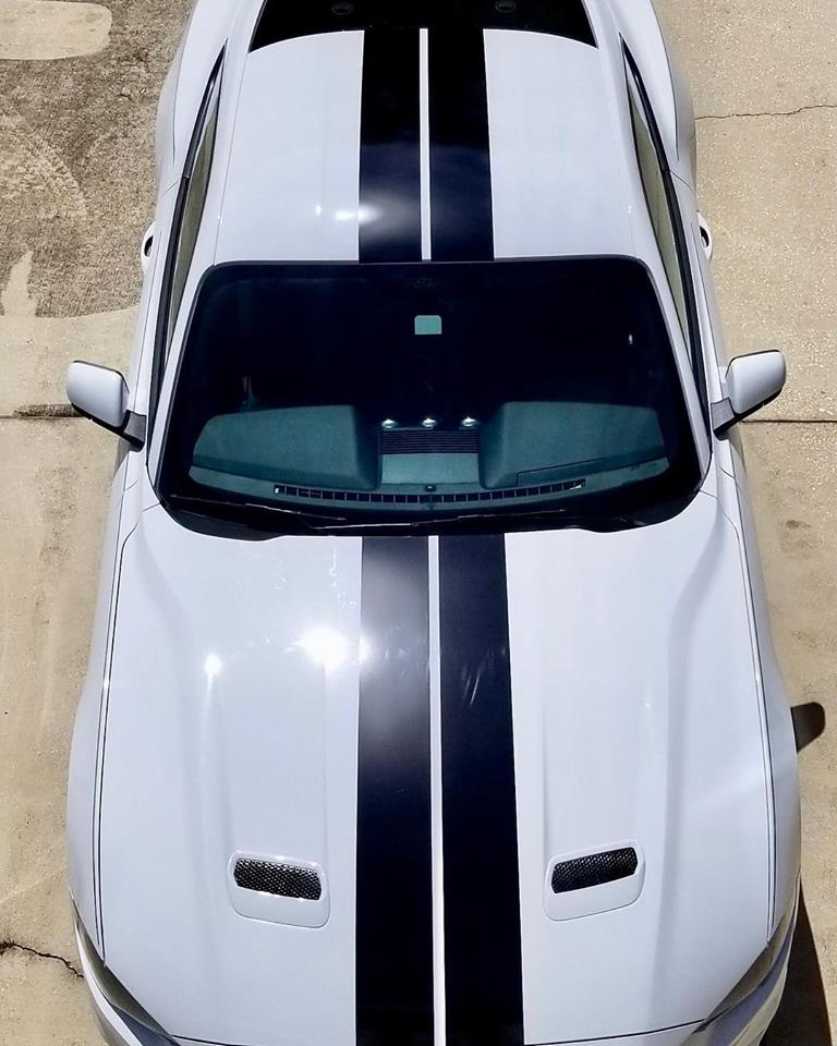 2005 - 2023 Mustang Shelby Style Rally Stripes