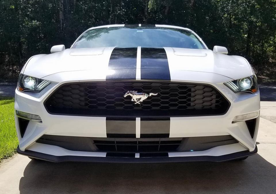 2005 - 2023 Mustang Shelby Style Rally Stripes
