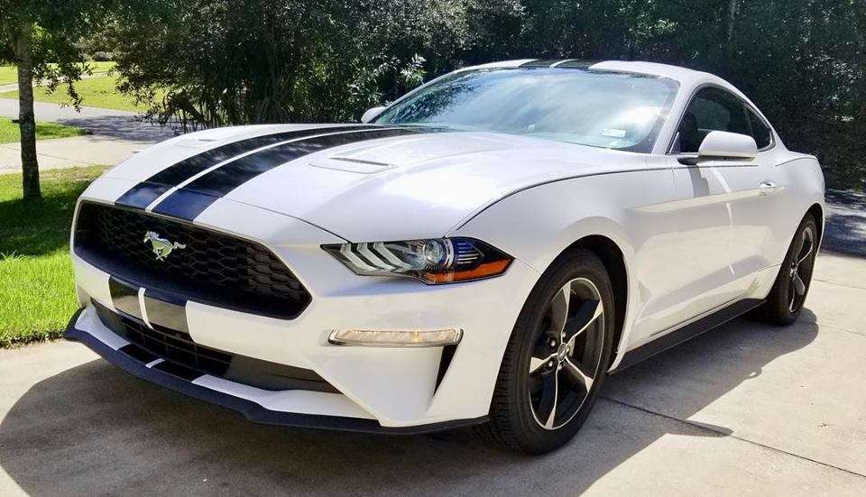 2005 - 2023 Mustang Shelby Style Rally Stripes