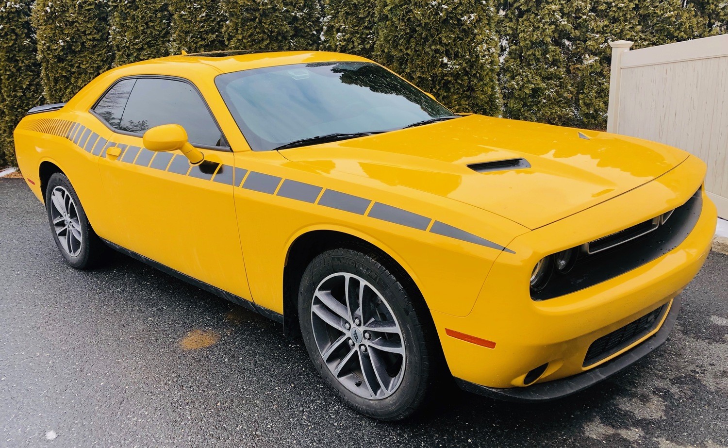 2008 - Up Dodge Challenger AAR Style Full Upper Strobe Stripes