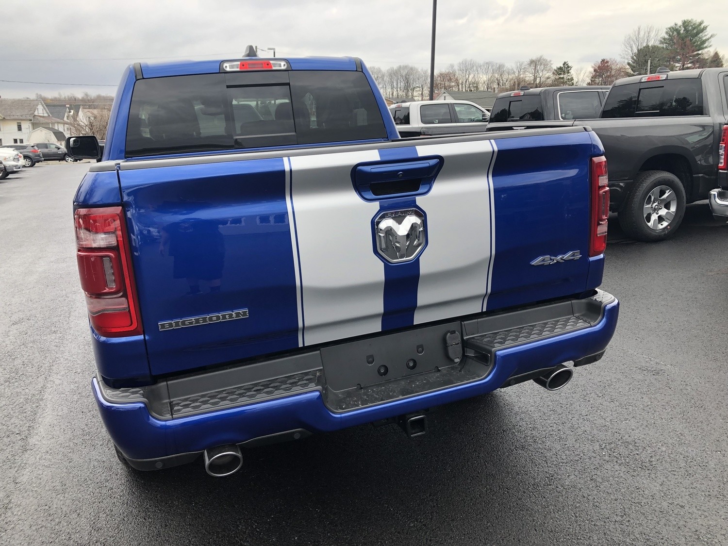 2019 - Up Ram 1500 Standard Hood and Tailgate Rally Stripes