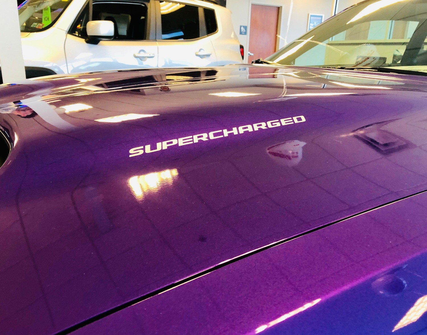 Universal Hood Decals Misc Makes and Models Supercharged, Turbocharged