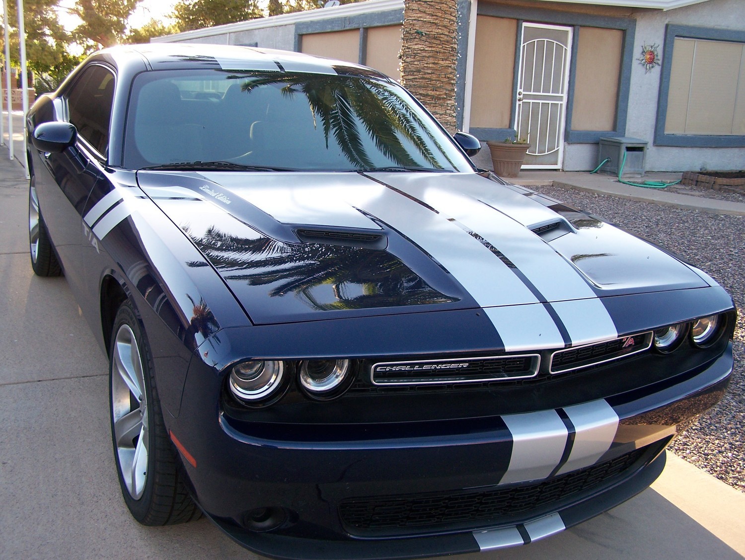 2015 - Up Dodge Challenger 16 piece Rally Stripe Decal Kit