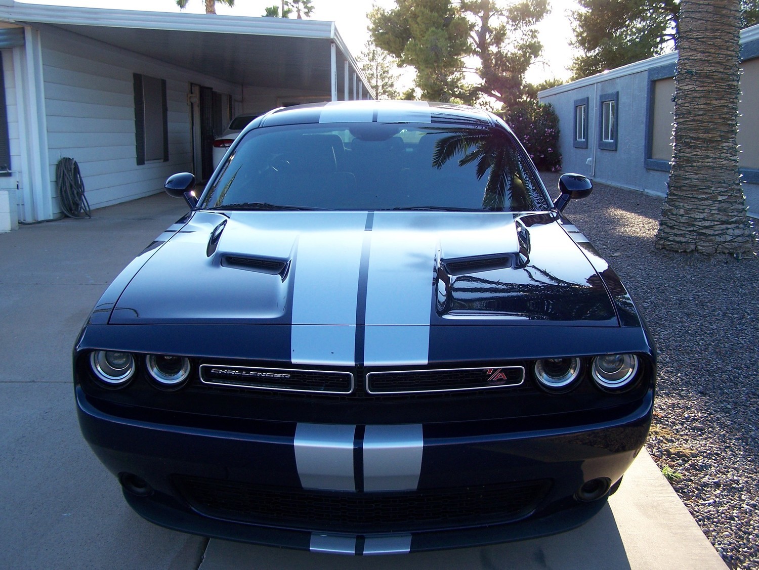 2015 - Up Dodge Challenger 16 piece Rally Stripe Decal Kit
