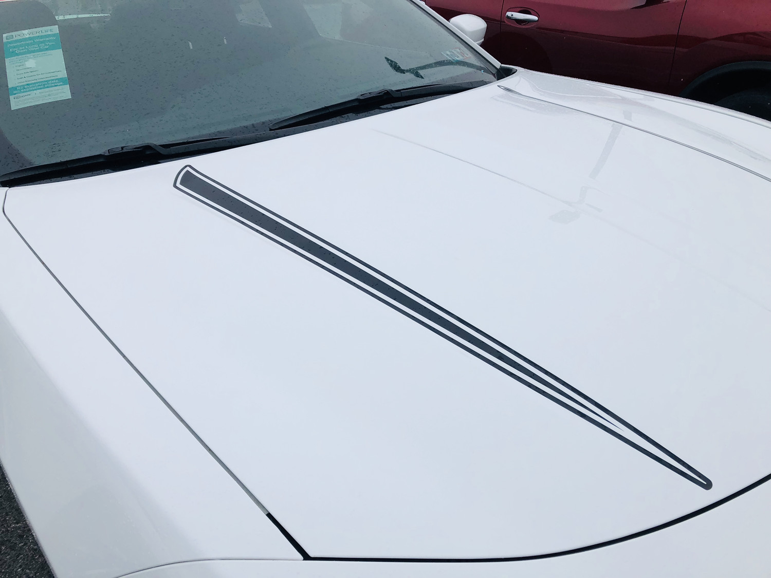 2015 - up Dodge Charger Hood Spear Graphics