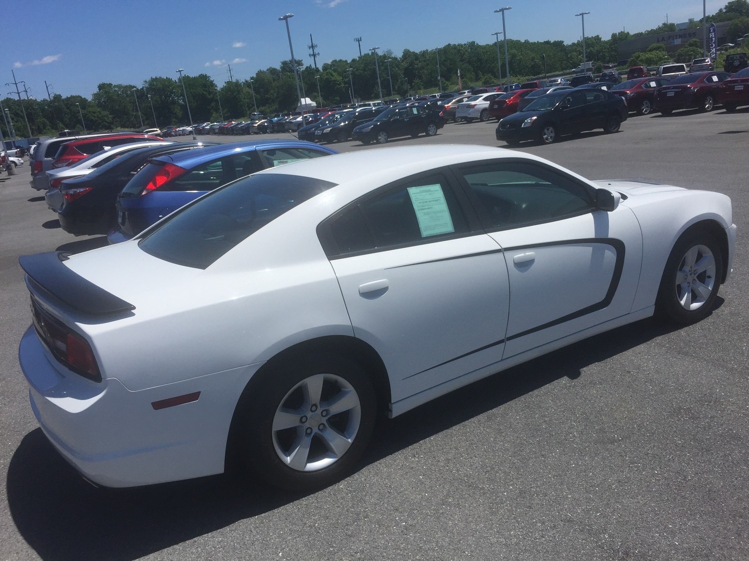 2011 -2014 Dodge Charger Side Scallop Graphics