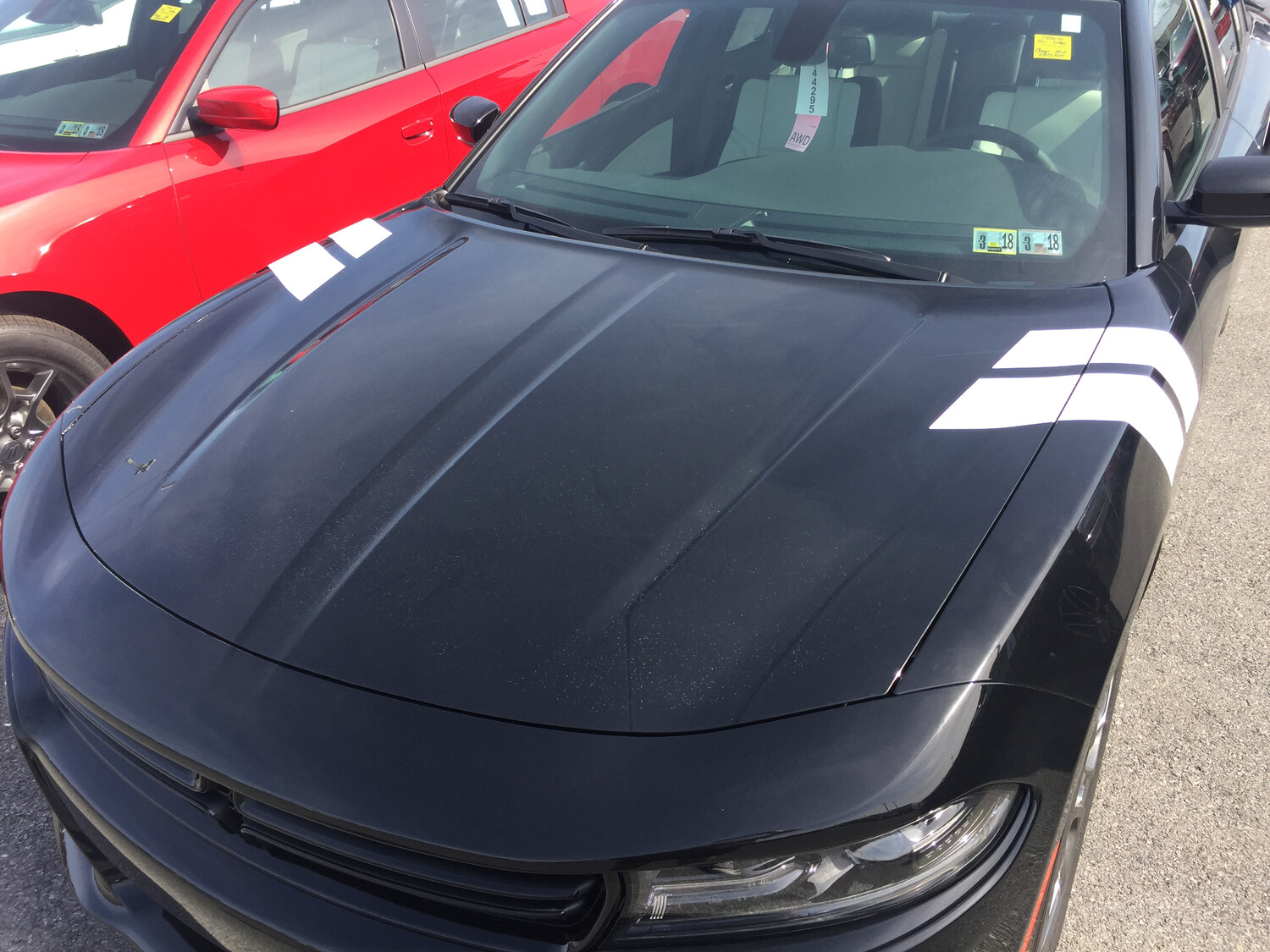 2006 - Up Dodge Charger Hood to Fender Stripes